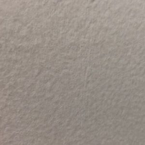 Meet your Posher, Leila